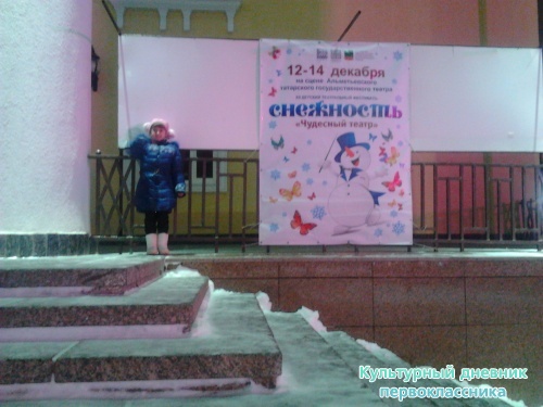 Походы в театр17066