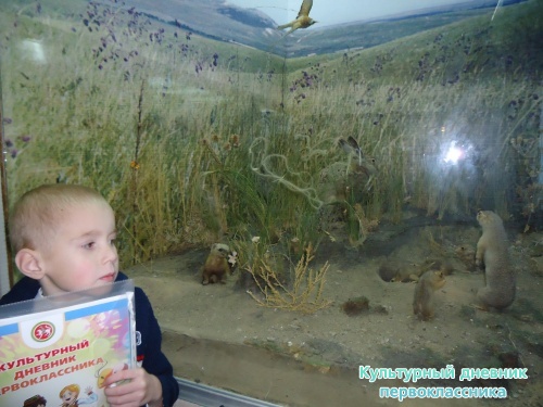 Ульяновский краеведческий музей имени И.А.Гончарова11412