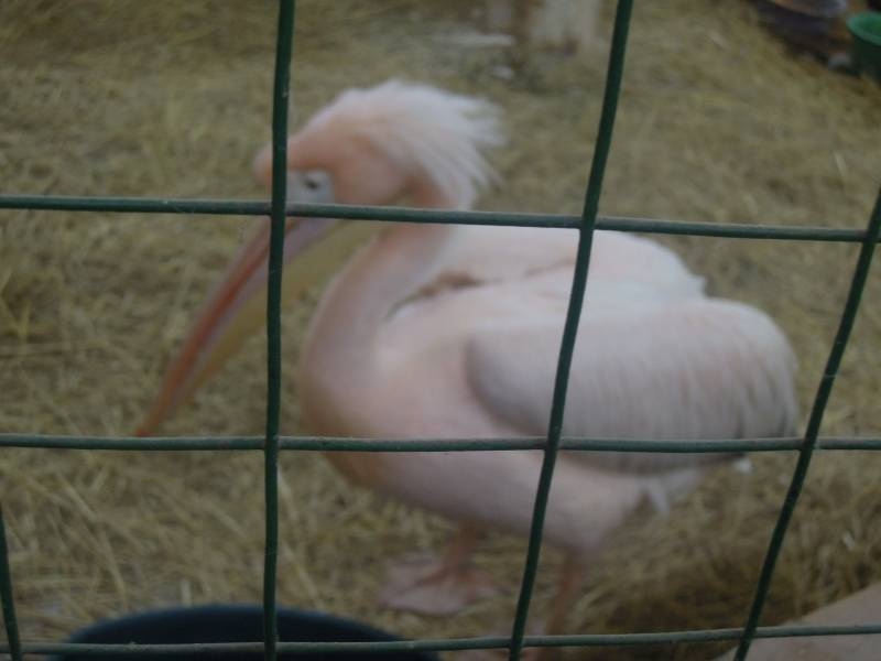 DSCN4958.JPG