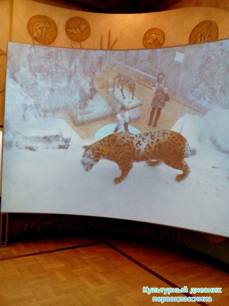 Музей естейственной истории Татарстана