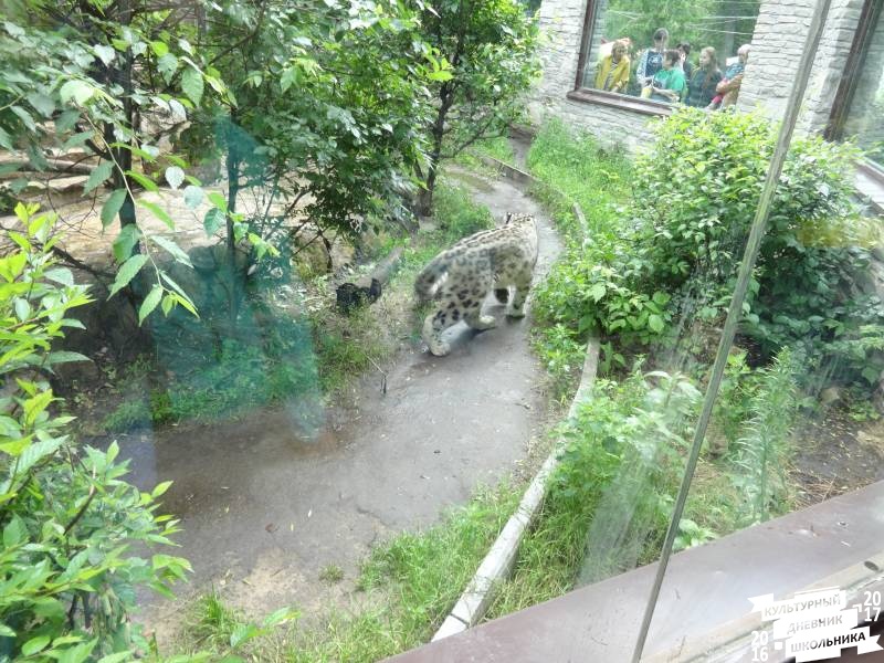 DSC05980.JPG
