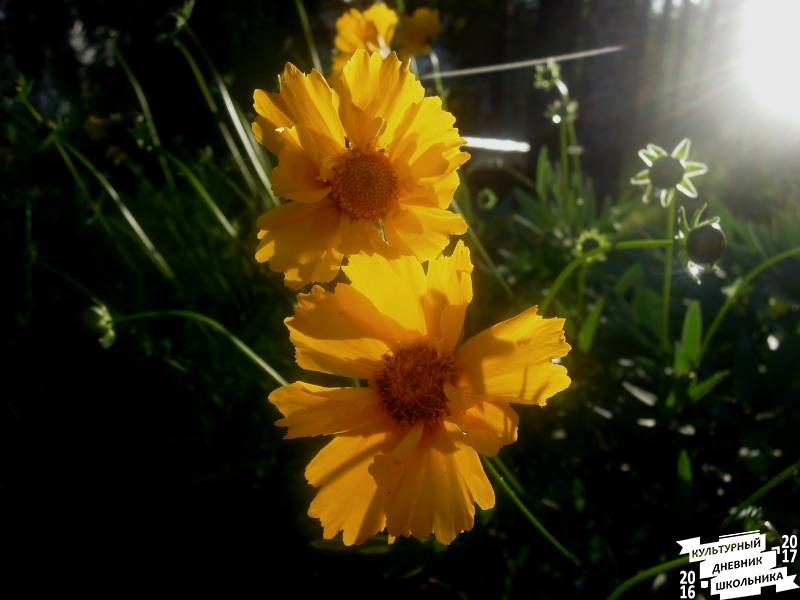 DSCN0318.JPG