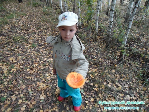 я грибник