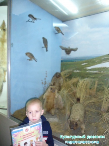 Ульяновский краеведческий музей имени И.А.Гончарова11415