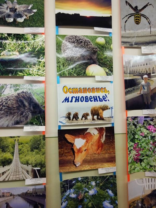Удивительный мир природы100780