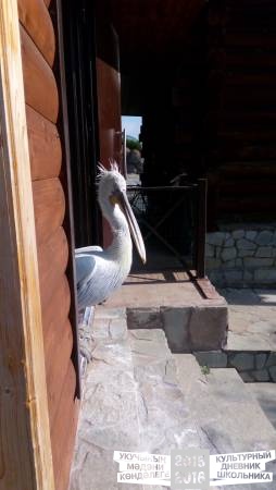 IMG_20160828_085821