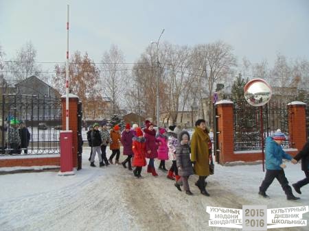в нерпинарии41461