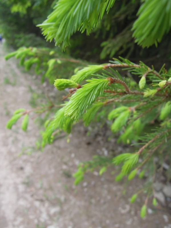 DSCN8613.JPG