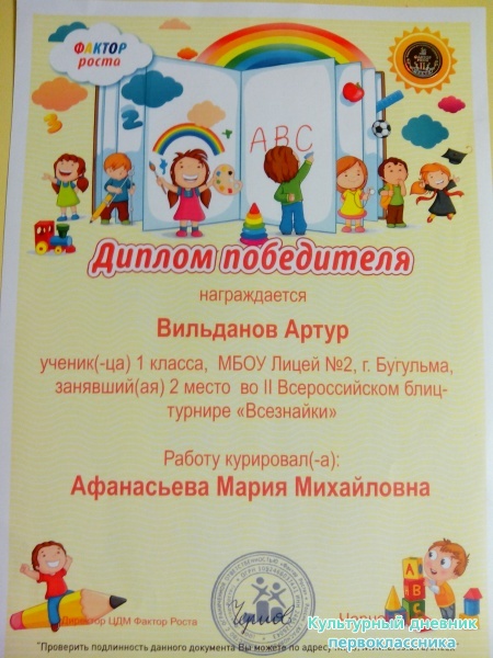МОИ ДОСТИЖЕНИЯ