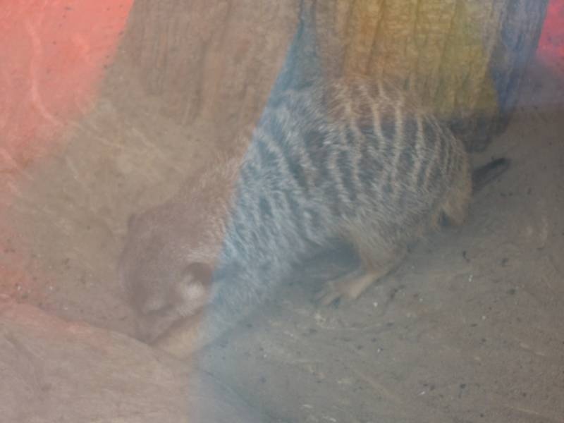 DSCN4812.JPG