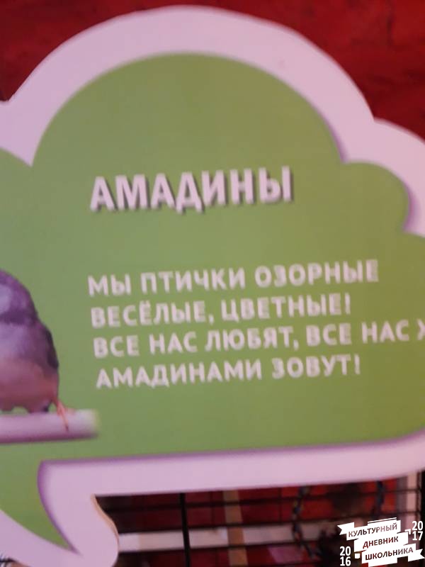 Контактный зоопарк. Казань.75615