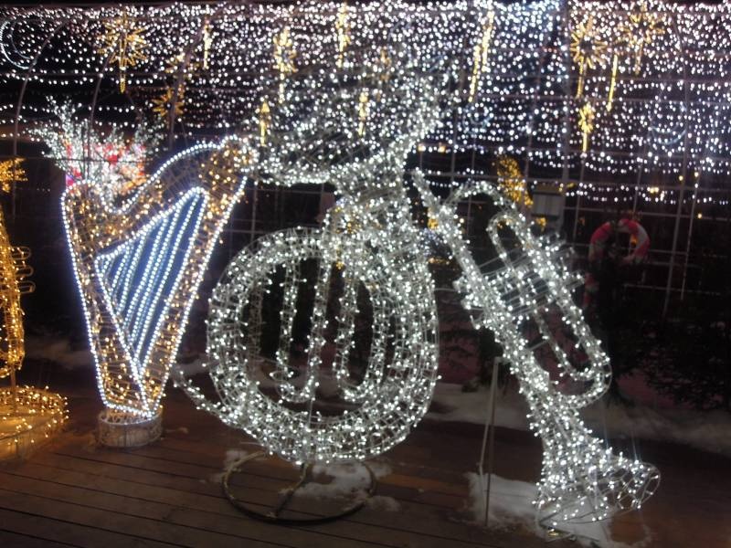 DSCN6698.JPG