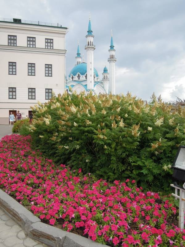 DSCN9619.JPG