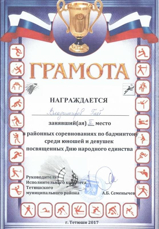 Портфолио достижений146985