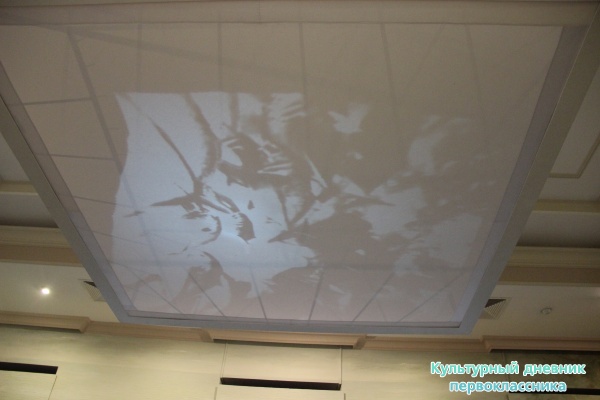 музей естественной истории Татарстана24749