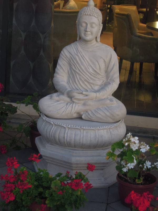 DSCN0763.JPG