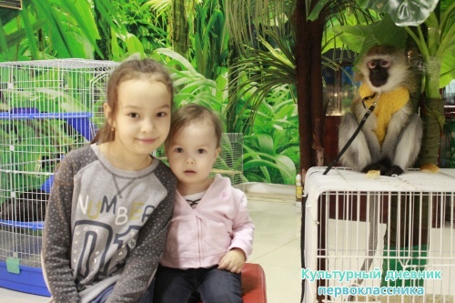 Мадагаскар выставка18120