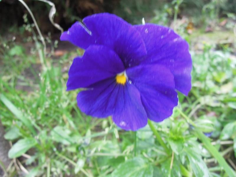 DSCN5054.JPG