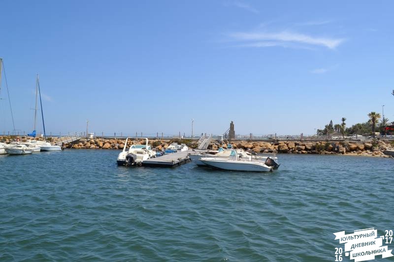 DSC_0344.JPG
