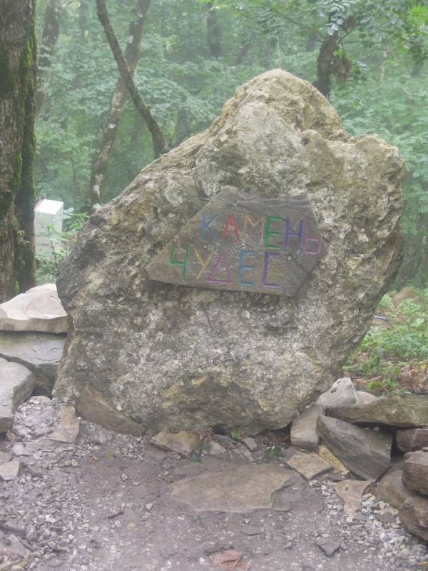 DSCN0304.JPG