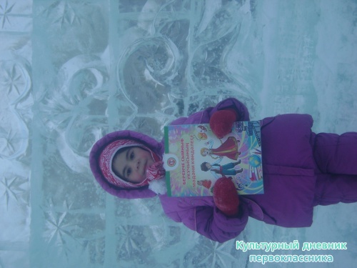 я и дневник17291