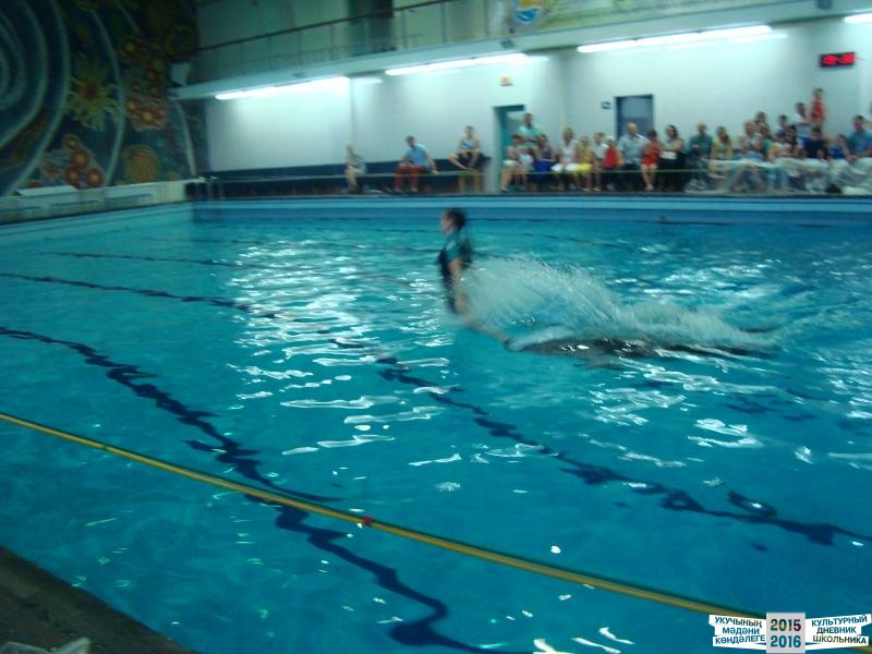 Мои летние путешествия!39636