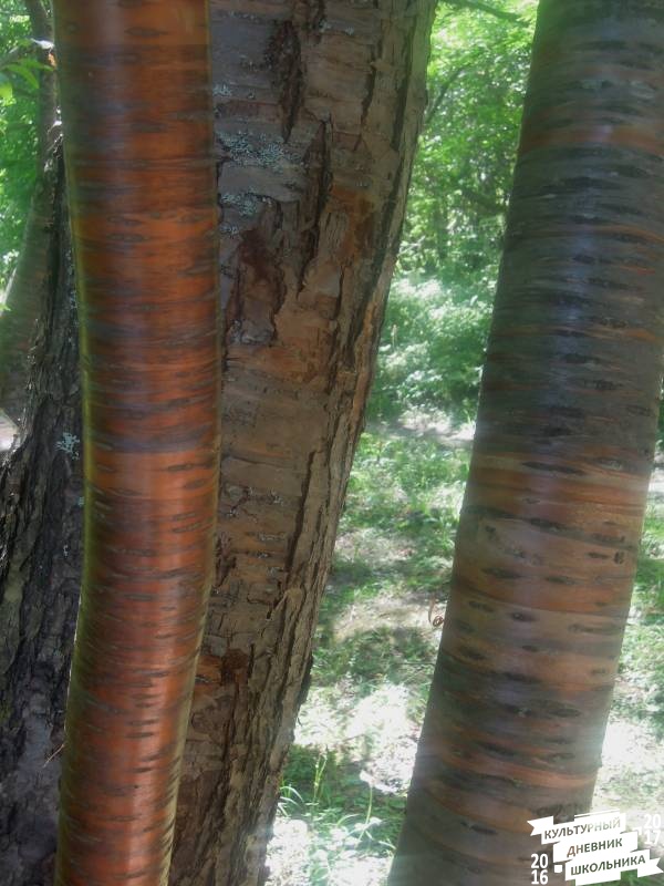 DSCN1630.JPG