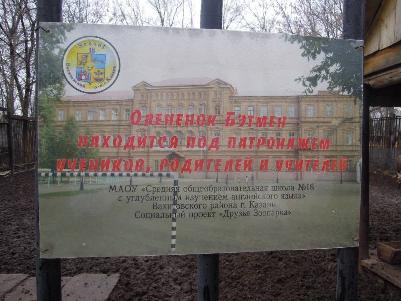 DSCN4900.JPG