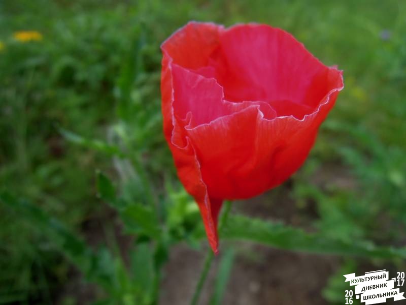 DSCN0571.JPG