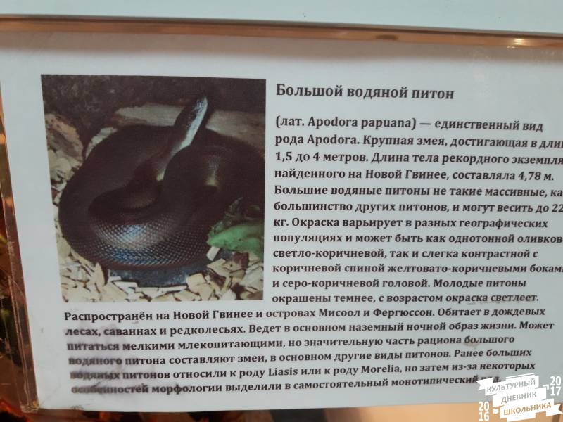 Выставка зоопарк "Живые тропики"60599