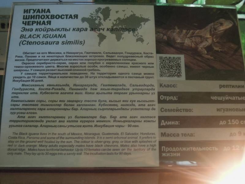 DSCN4866.JPG