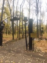 Парк "Александровский сад"154329
