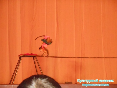 Цирк! "Сочи и Ко"9373