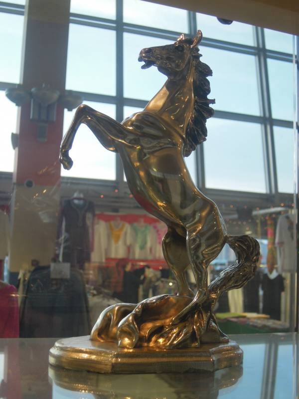 DSCN6838.JPG