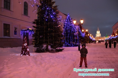 новогодний Кремль16394