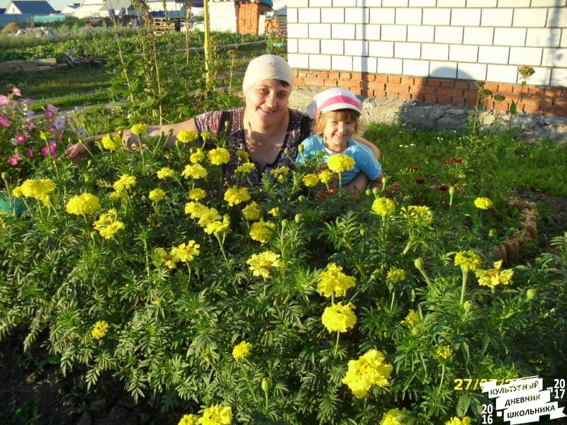 люблю лето82607