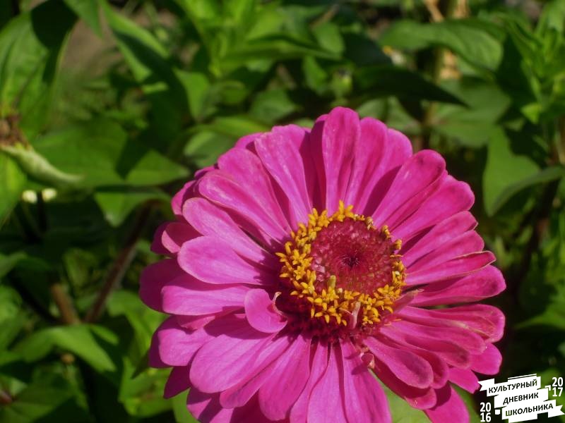 DSCN1512.JPG