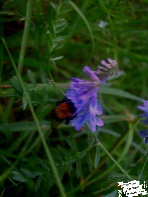 DSCN0360.JPG