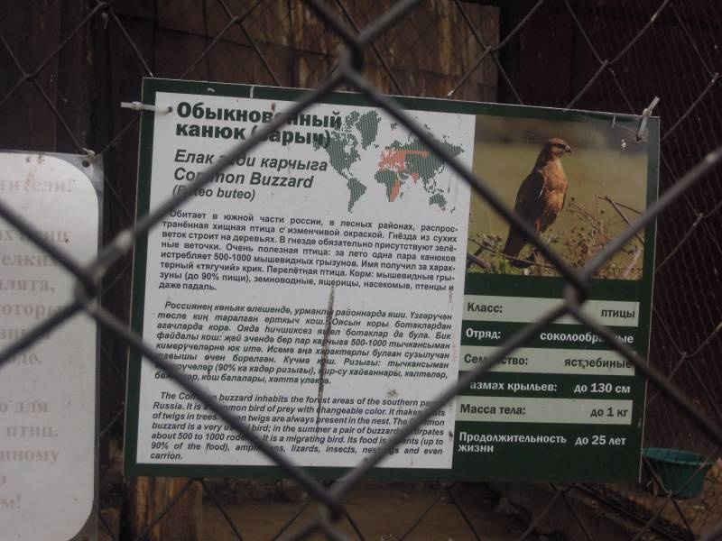 DSCN4974.JPG