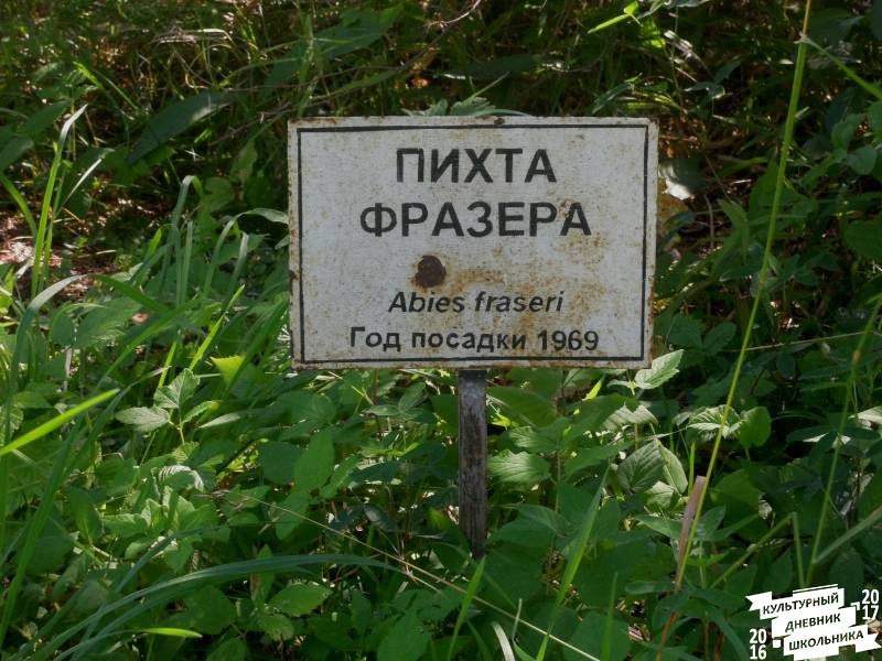 DSCN1588.JPG