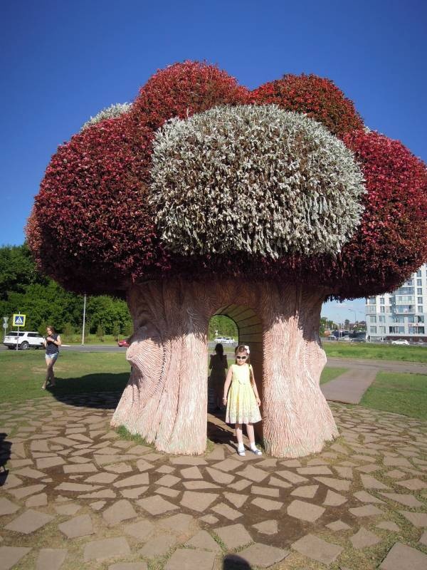 DSCN9306.JPG