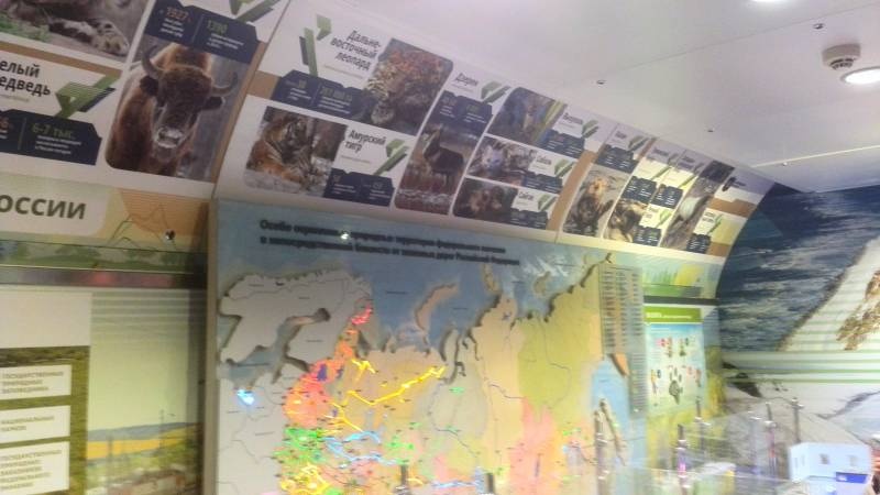 IMG_20181031_103156