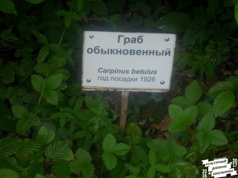 DSCN1618.JPG