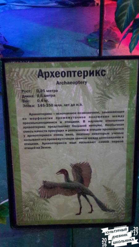 Мир динозавров. ТРЦ Италмас.63538