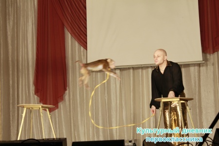 Цирк.21278