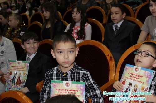 Ильфат и Ильшат с культурным дневником14316