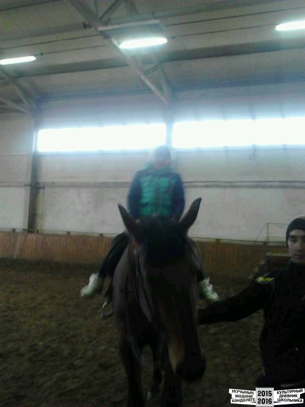 Camera HDR Studio - 1477045278631