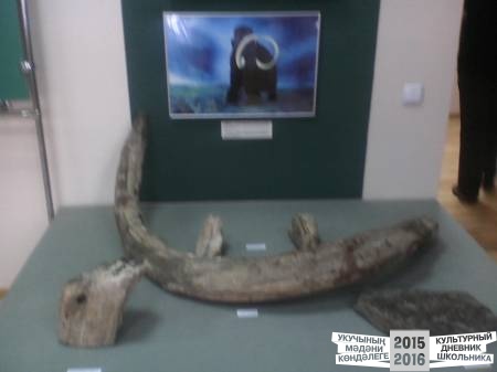 IMG_20160324_145953