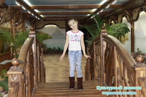 Зимний сад12010