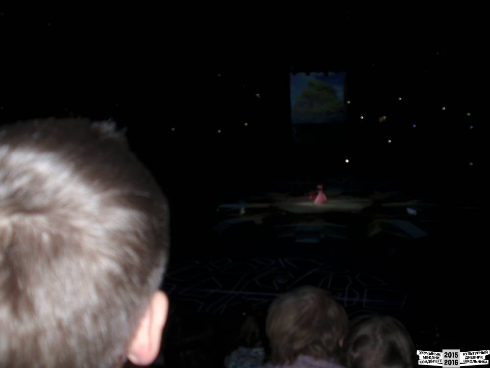 Я на Президентской елке 25.12.2016 г.52368